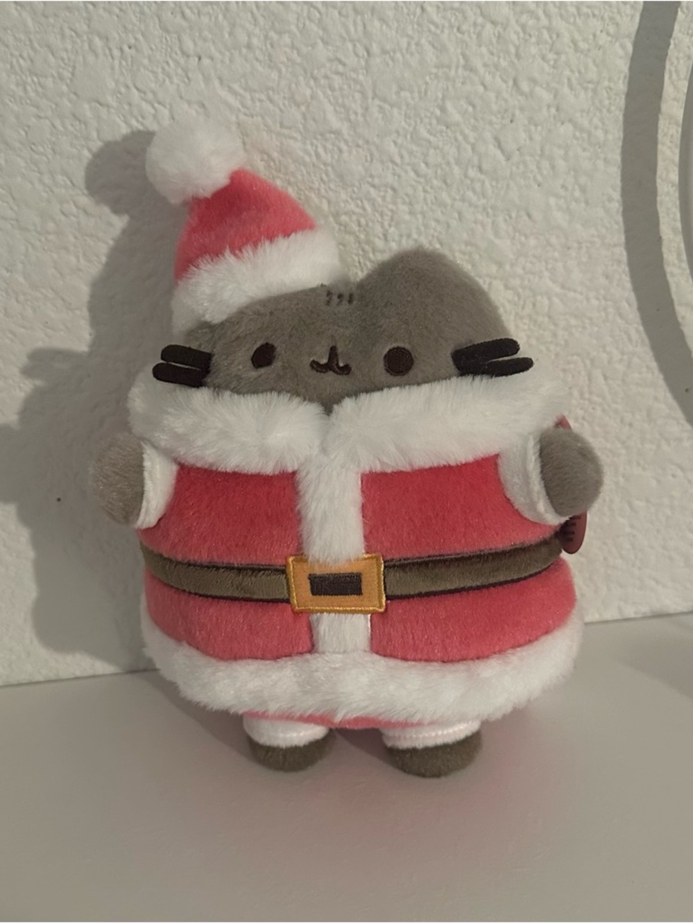 Pusheen Santa